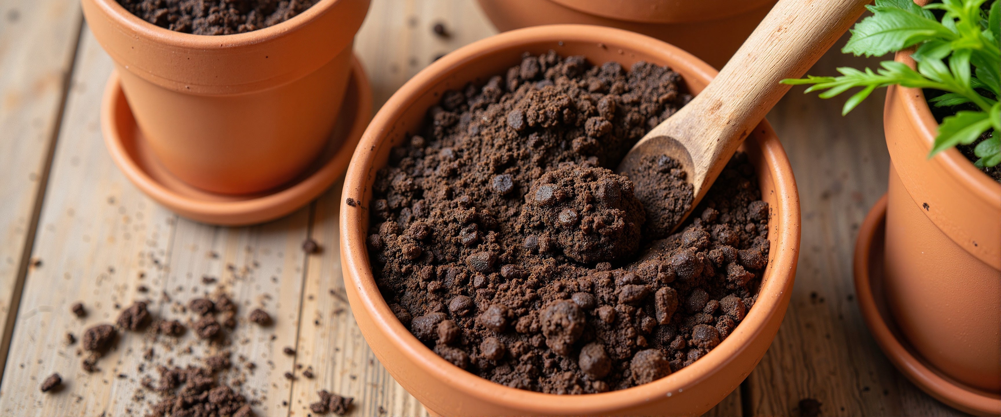 How to Sterilize Potting Soil: Easy Methods to Prevent Fungus Gnats & Plant Disease