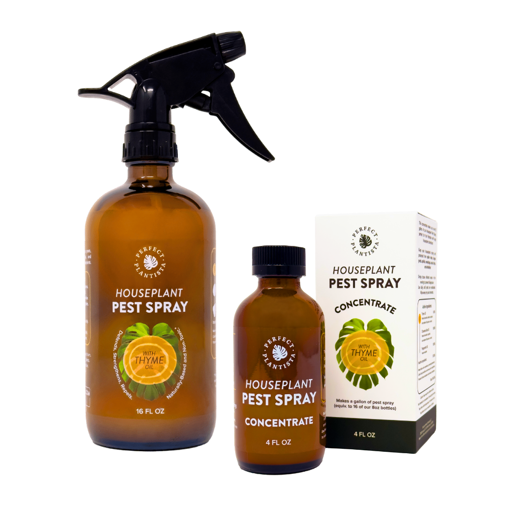 Houseplant Pest Spray