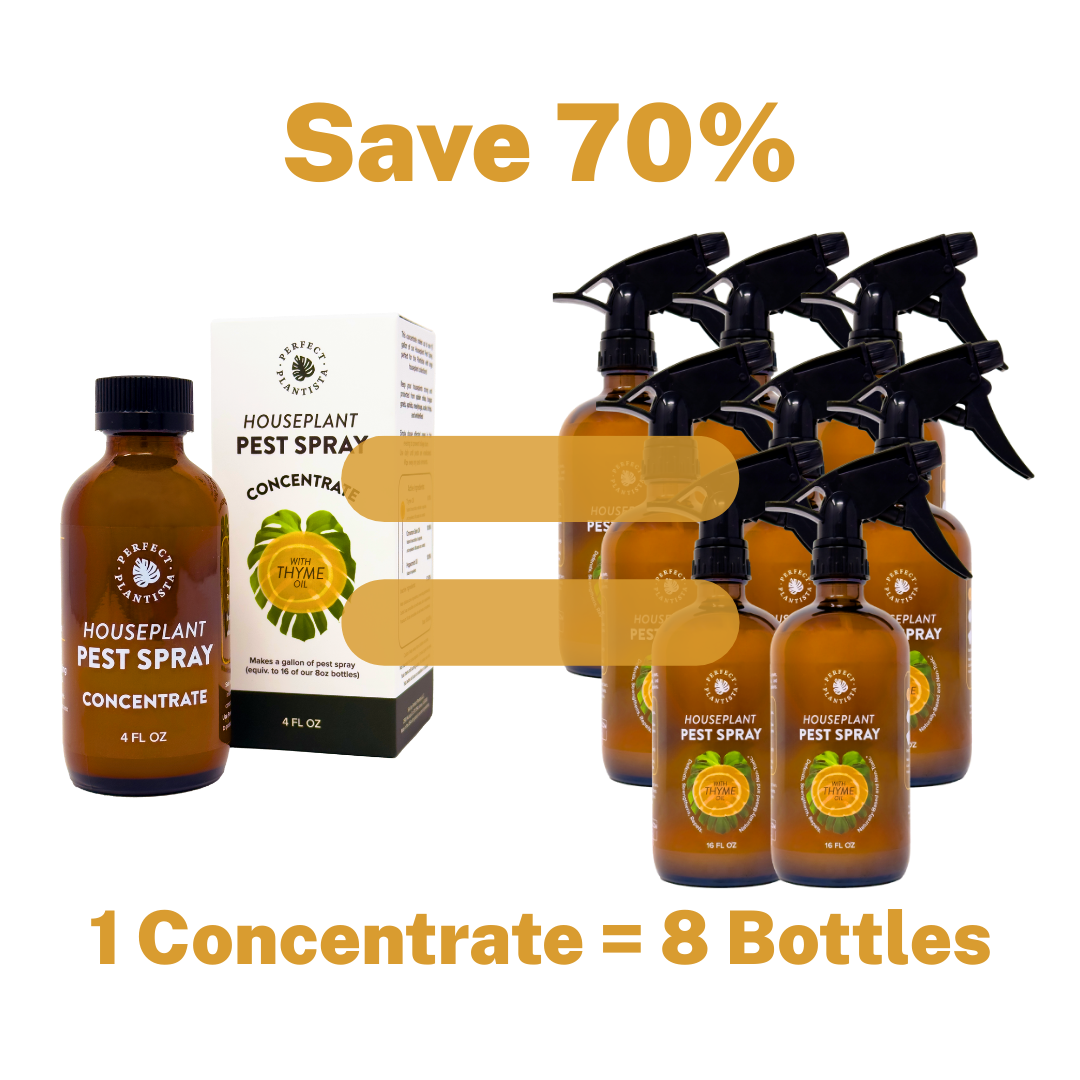 Houseplant Pest Spray