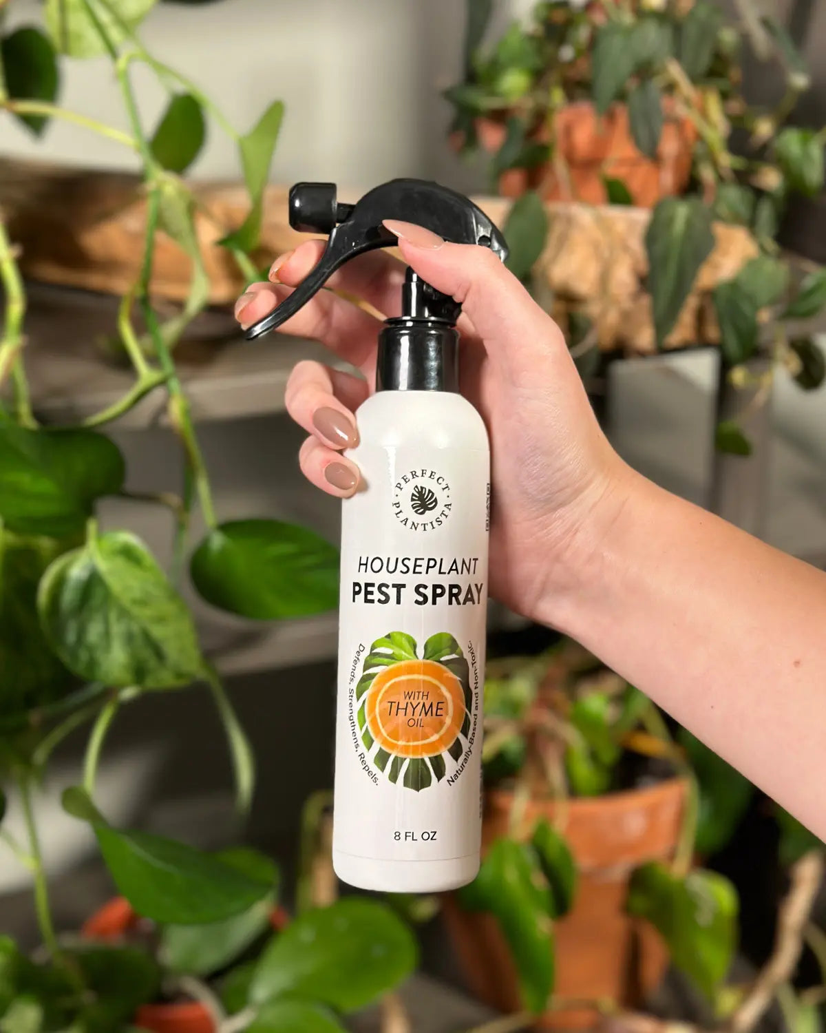 A hand holding Perfect Plantista's Houseplant Pest Spray for Houseplant Pests