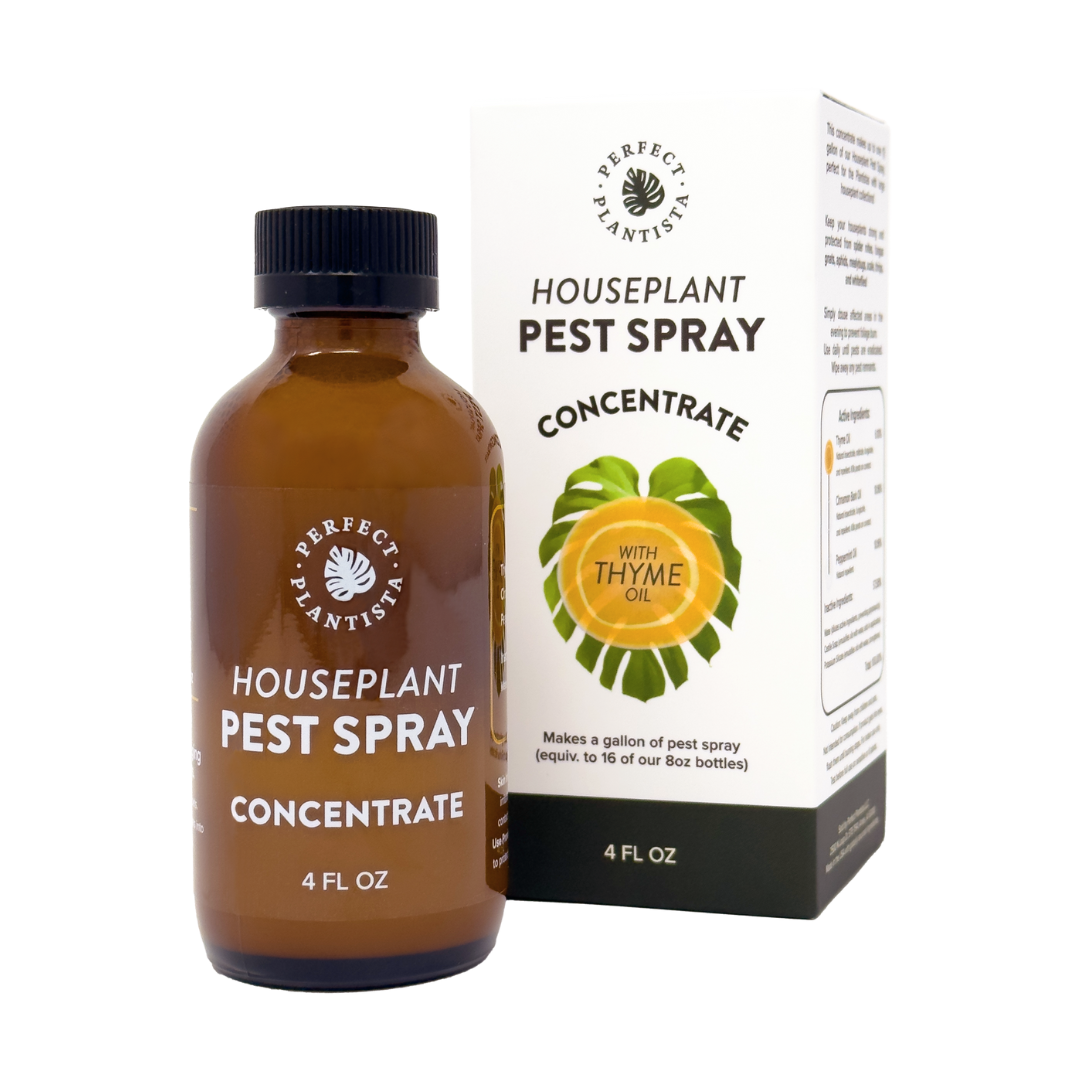Houseplant Pest Spray Concentrate - Perfect Plantista