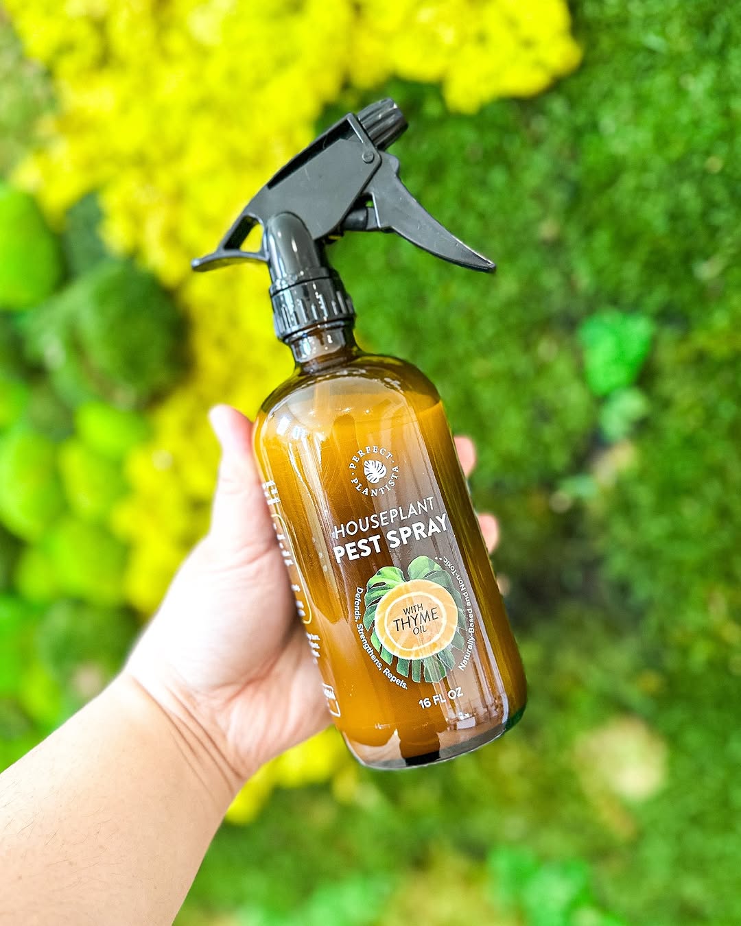 Houseplant Pest Spray