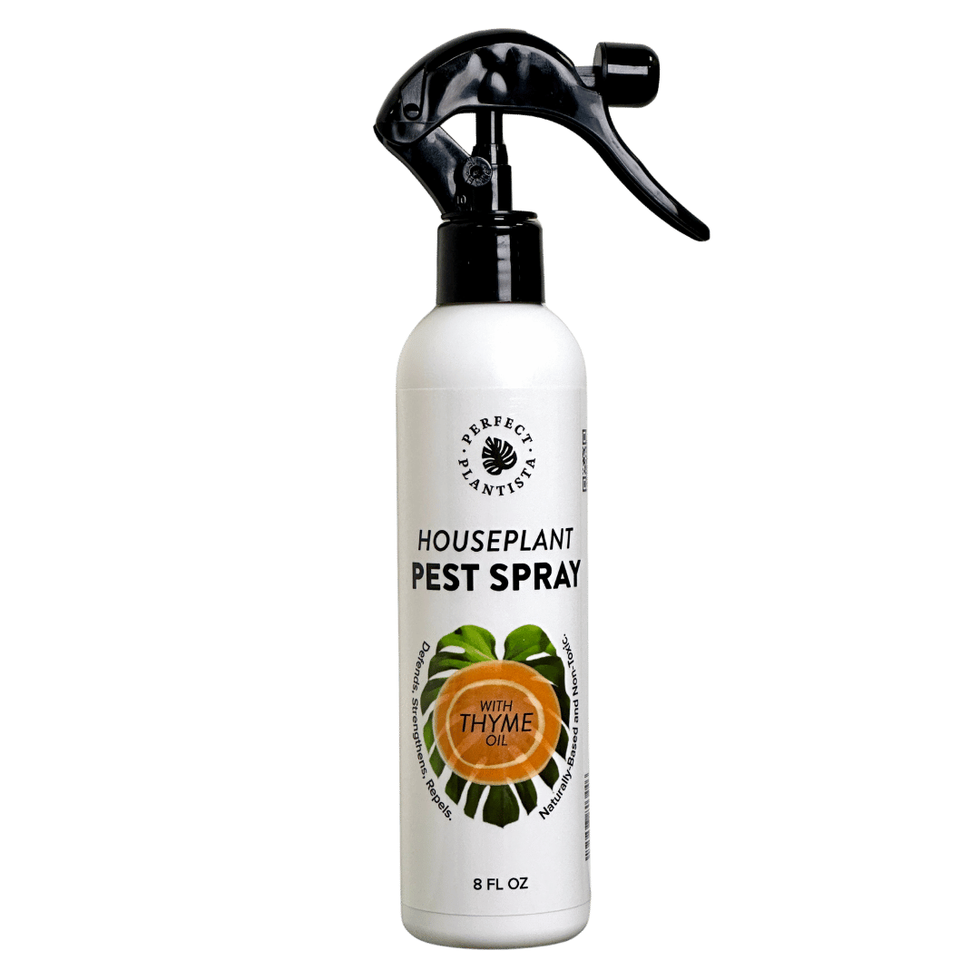 The front of a bottle of Perfect Plantista's Houseplant Pest Spray for Houseplant Pests on a transparent background.