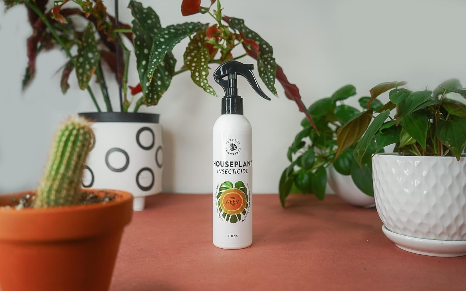 Natural Houseplant Insecticide w/ Neem | 8oz - Perfect Plantista