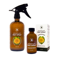 pest spray for indoor plants Natural + Non-Toxic Houseplant Pest Spray