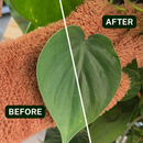 Houseplant Dusting Gloves - Perfect Plantista