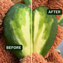 Houseplant Dusting Gloves - Perfect Plantista