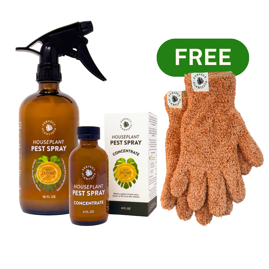 house plant fungicide spray Houseplant Pest Spray