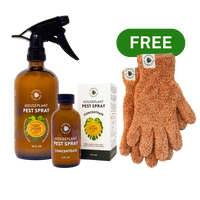 Houseplant Pest Spray - Perfect Plantista