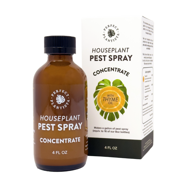 Houseplant Pest Spray Concentrate