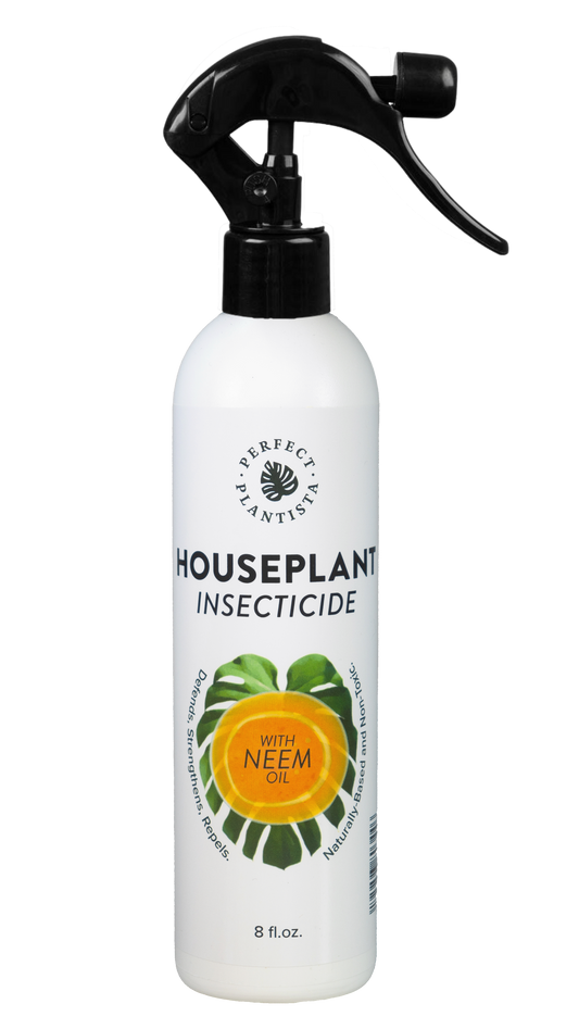 Perfect Plantista houseplant Insecticide w/ Neem Oil