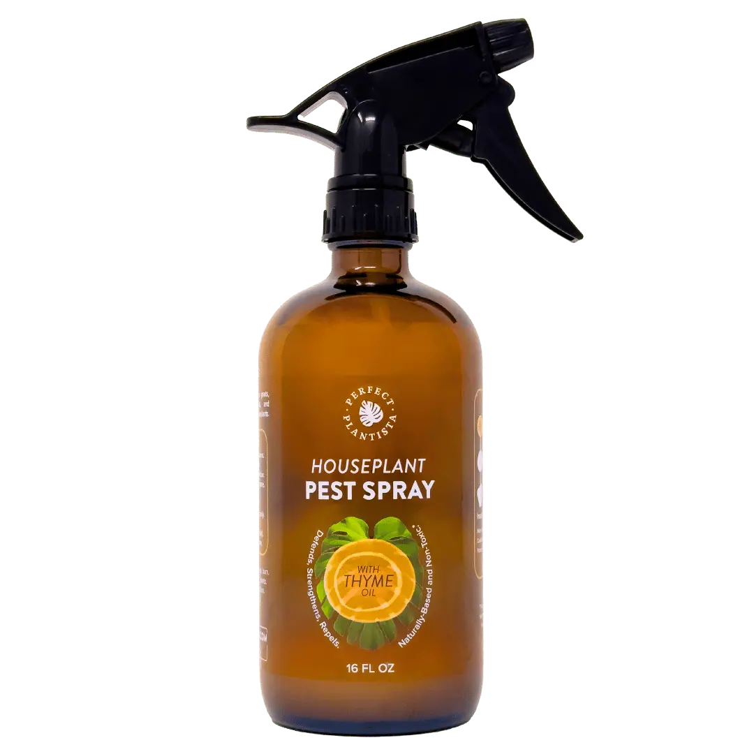 Houseplant Pest Spray