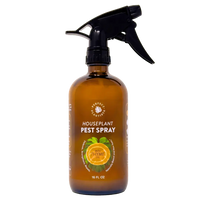 Houseplant Pest Spray - Perfect Plantista