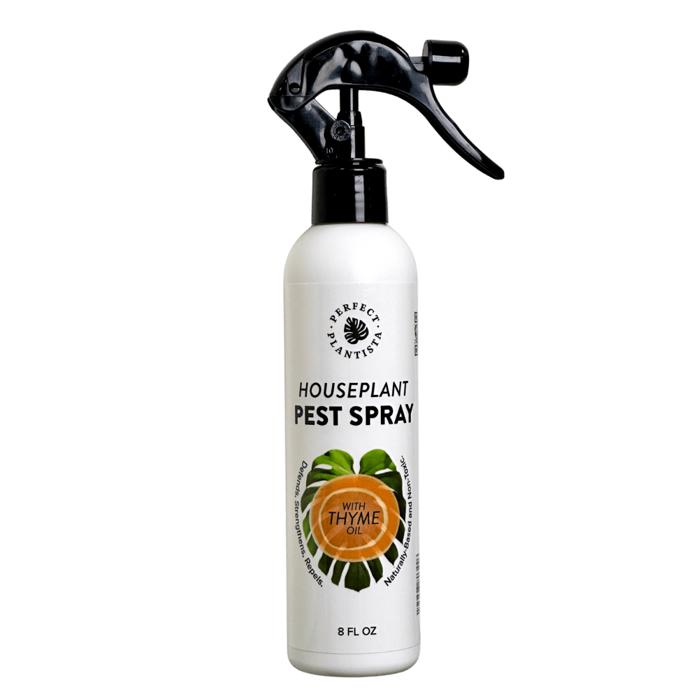 Perfect Plantista Houseplant Pest Spray Insecticide New Formula