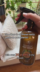 Houseplant Pest Spray